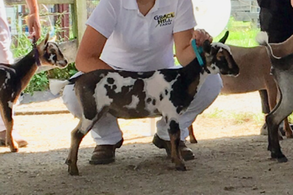 Mimi 07-21 Mimi 07-21
