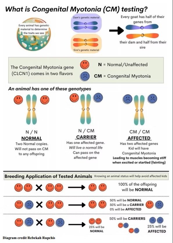 CM Diagram - pc Rebekah Rupchis CM Diagram - pc Rebekah Rupchis